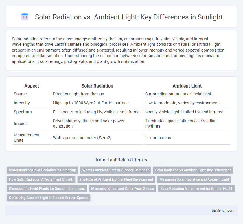 Solar Radiation vs. Ambient Light: Key Differences in Sunlight