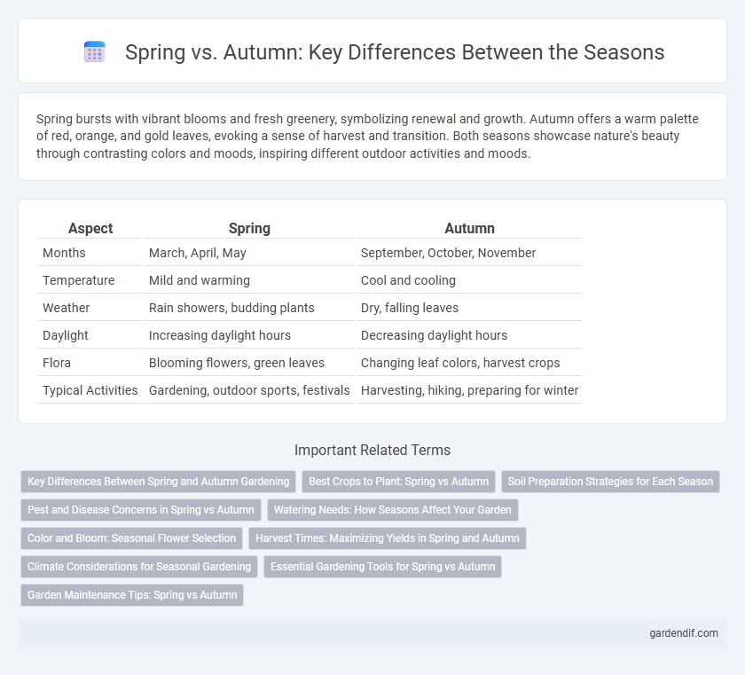 Spring vs. Autumn: Key Differences Between the Seasons