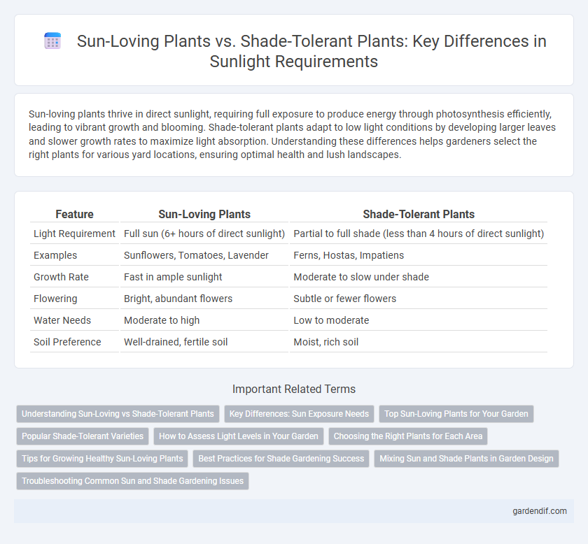Sun-Loving Plants vs. Shade-Tolerant Plants: Key Differences in Sunlight Requirements