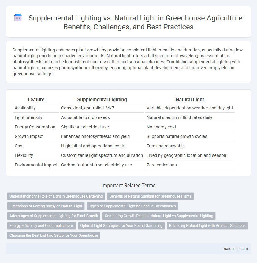 Supplemental Lighting vs. Natural Light in Greenhouse Agriculture: Benefits, Challenges, and Best Practices