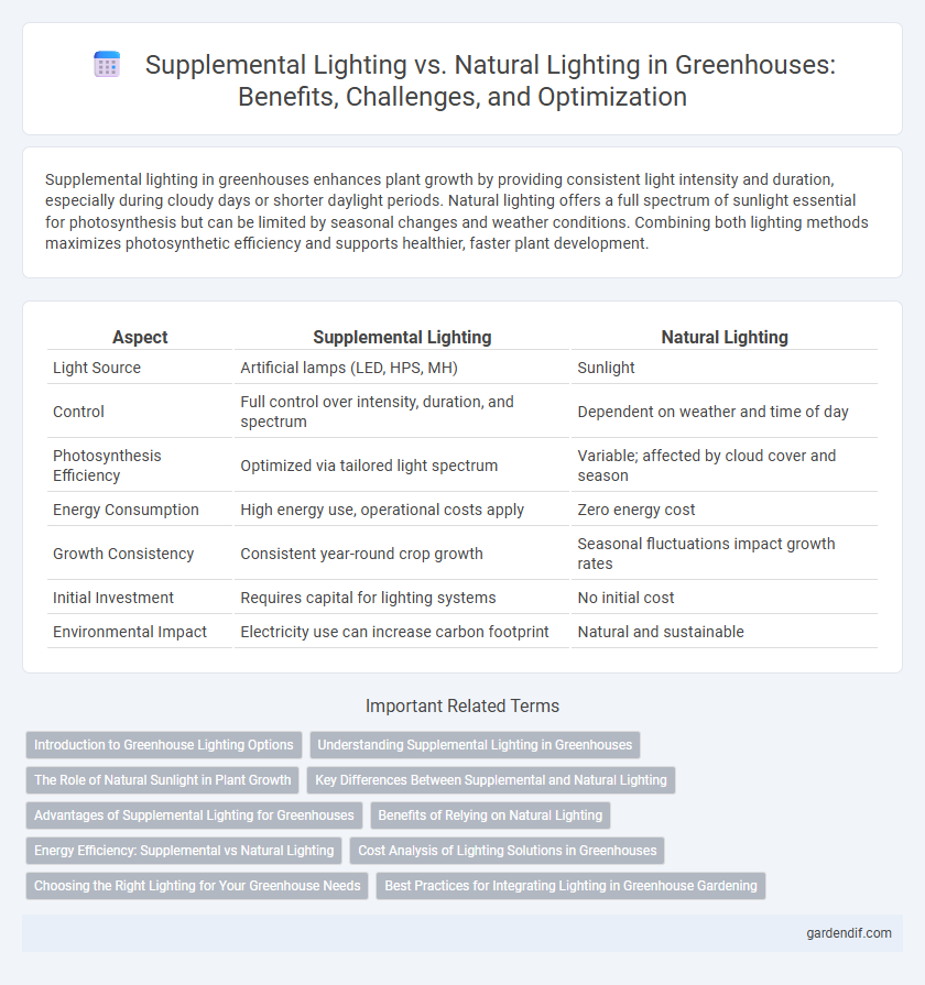 Supplemental Lighting vs. Natural Lighting in Greenhouses: Benefits, Challenges, and Optimization
