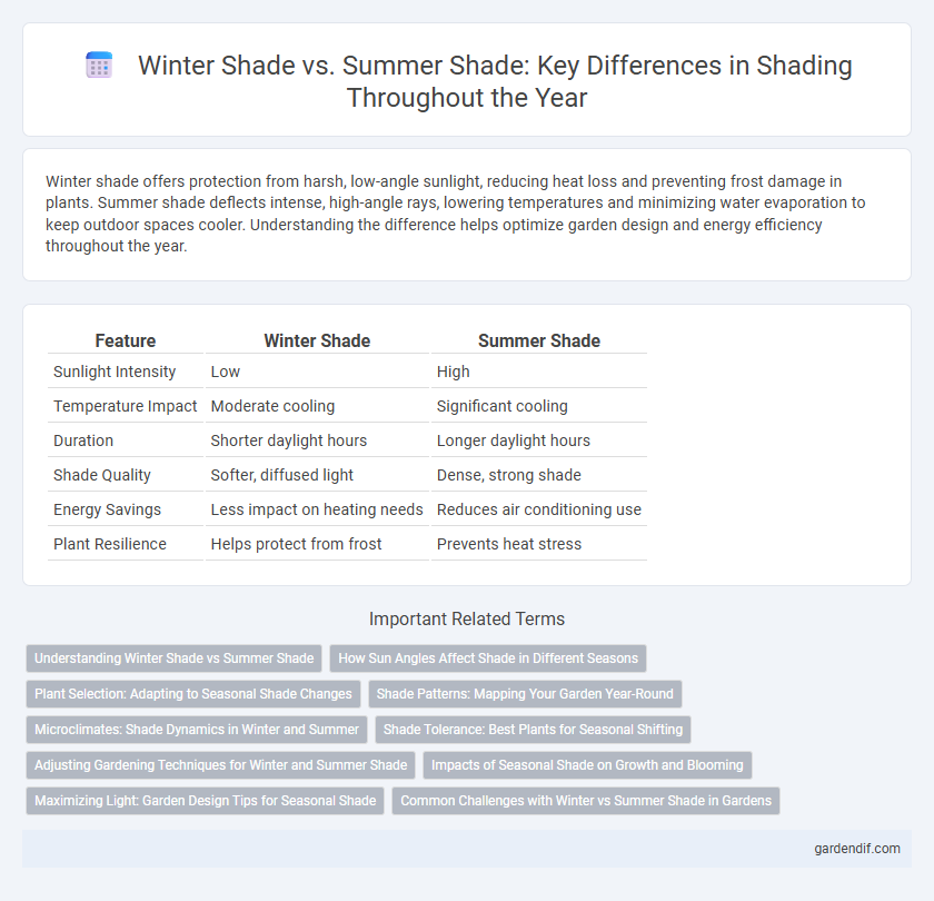 Winter Shade vs. Summer Shade: Key Differences in Shading Throughout the Year