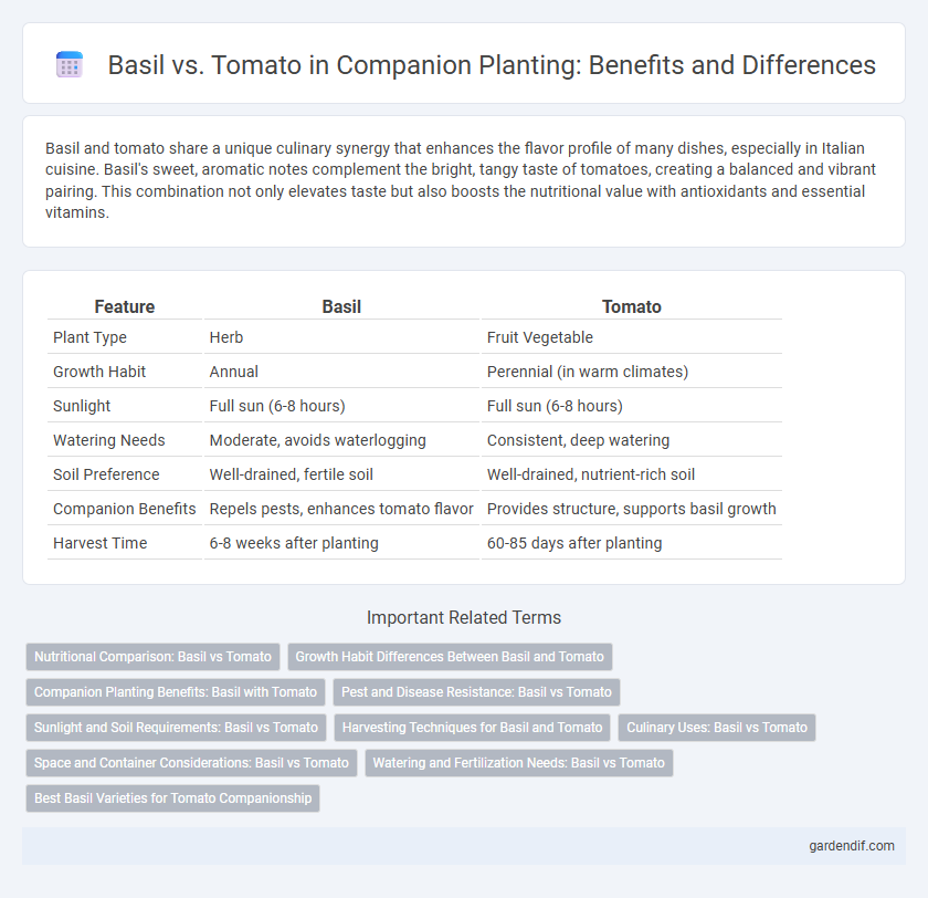 Basil vs. Tomato in Companion Planting: Benefits and Differences
