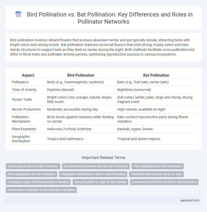 Bird Pollination vs. Bat Pollination: Key Differences and Roles in Pollinator Networks