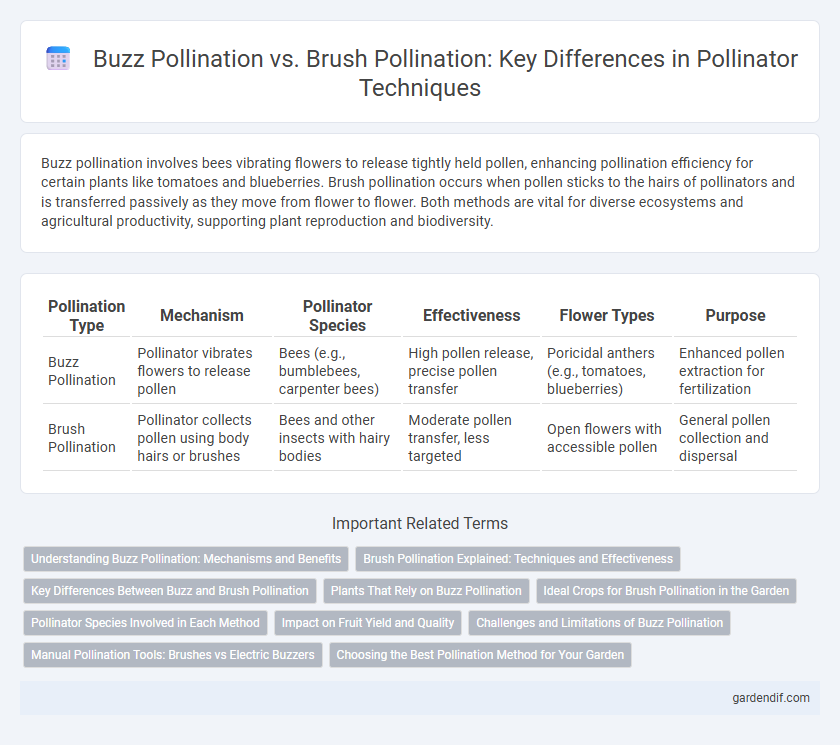 Buzz Pollination vs. Brush Pollination: Key Differences in Pollinator Techniques