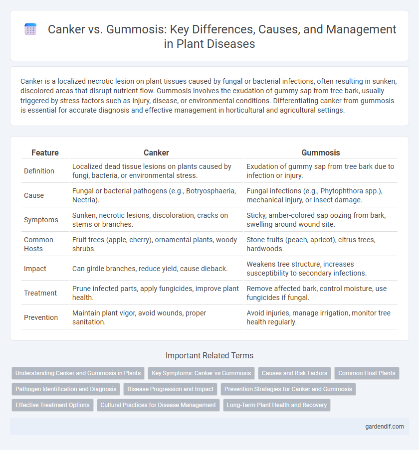 Canker vs. Gummosis: Key Differences, Causes, and Management in Plant Diseases