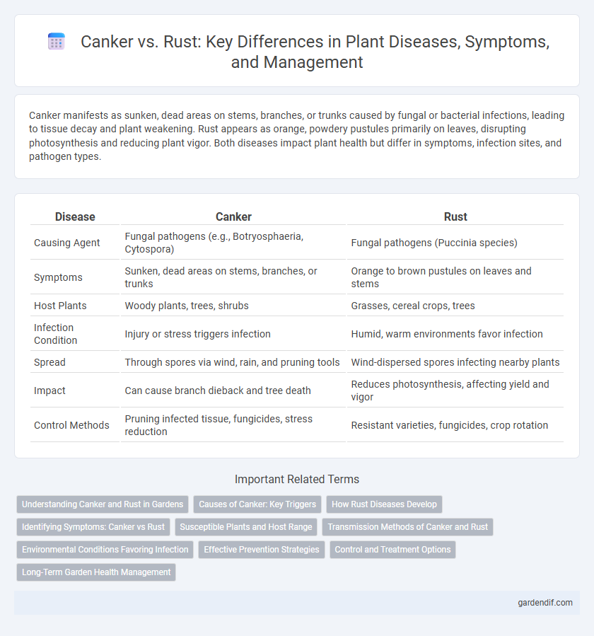 Canker vs. Rust: Key Differences in Plant Diseases, Symptoms, and Management