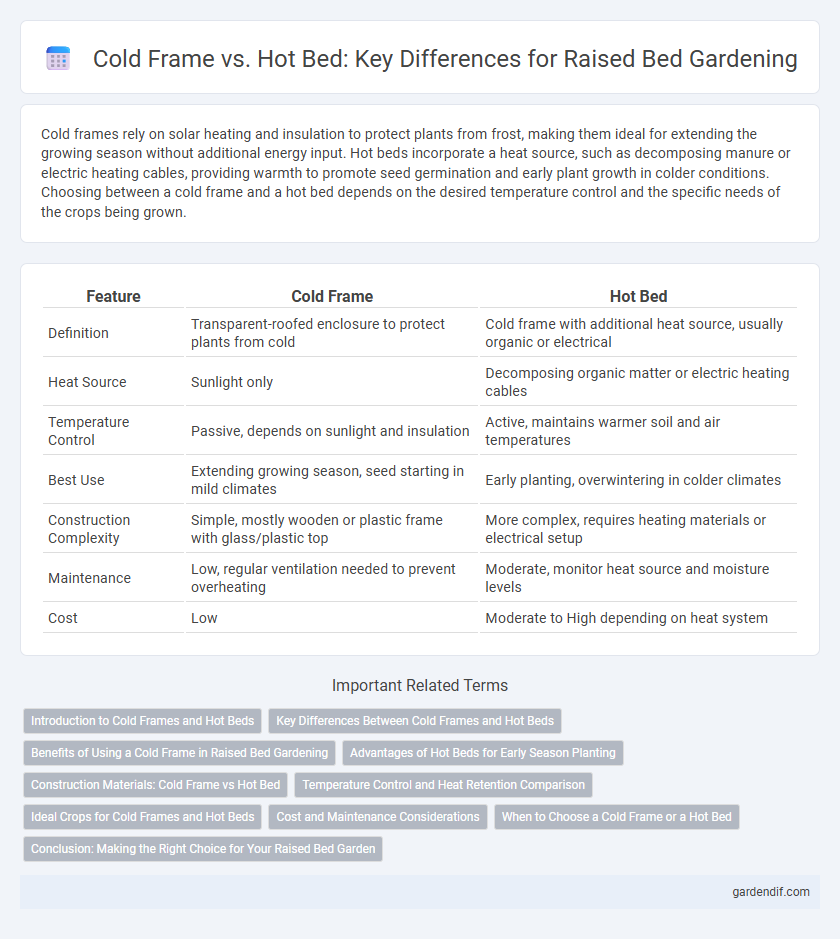 Cold Frame vs. Hot Bed: Key Differences for Raised Bed Gardening