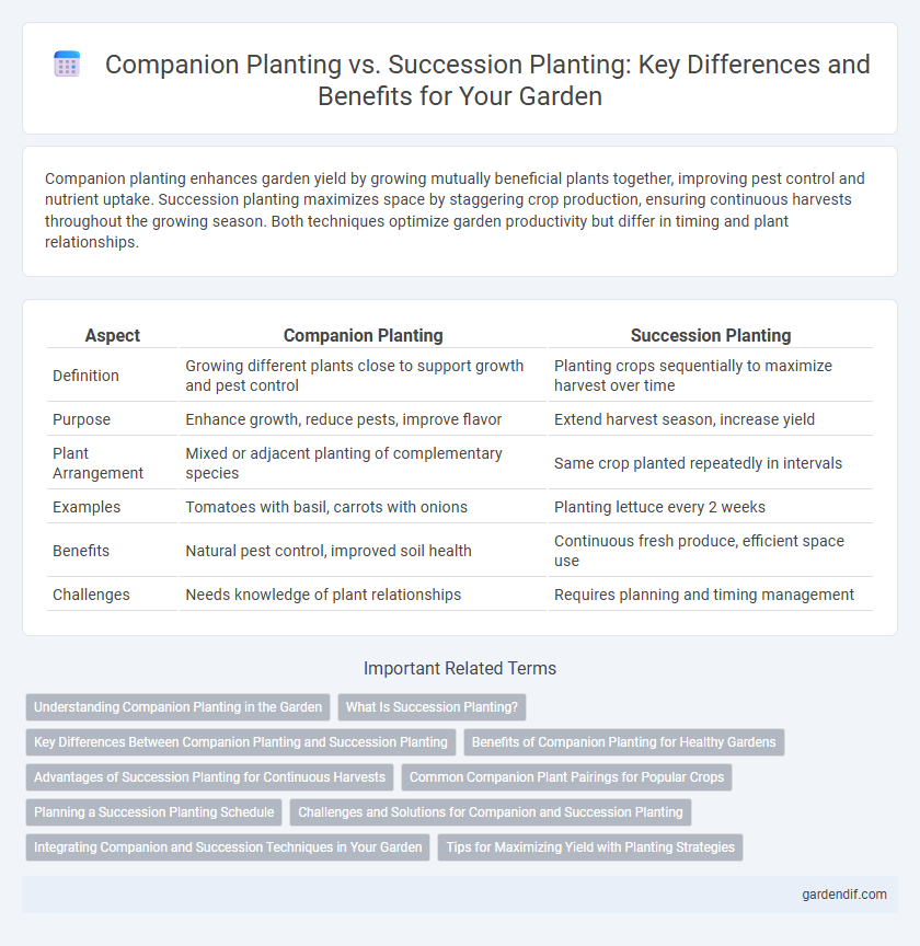 Companion Planting vs. Succession Planting: Key Differences and Benefits for Your Garden