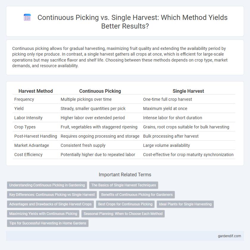 Continuous Picking vs. Single Harvest: Which Method Yields Better Results?