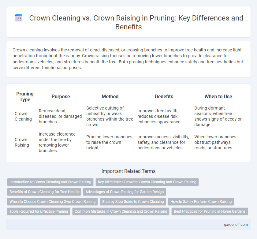 Crown Cleaning vs. Crown Raising in Pruning: Key Differences and Benefits