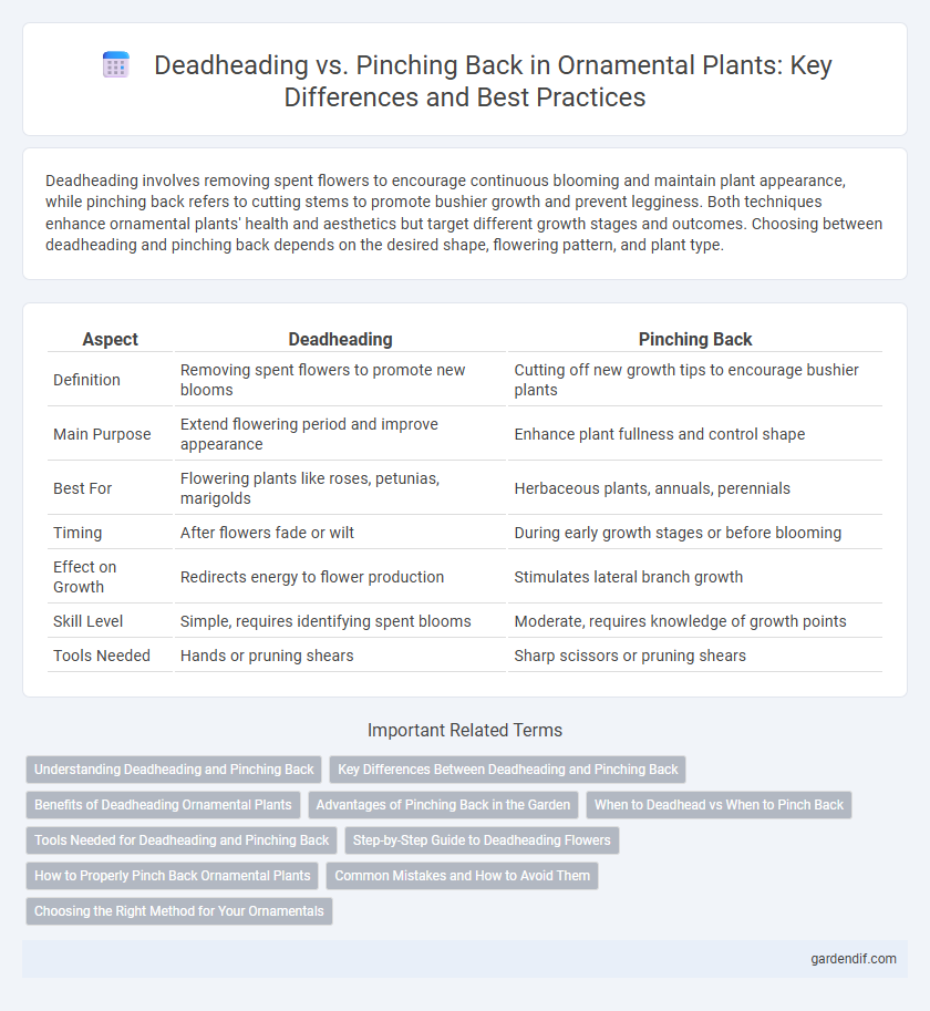 Deadheading vs. Pinching Back in Ornamental Plants: Key Differences and Best Practices