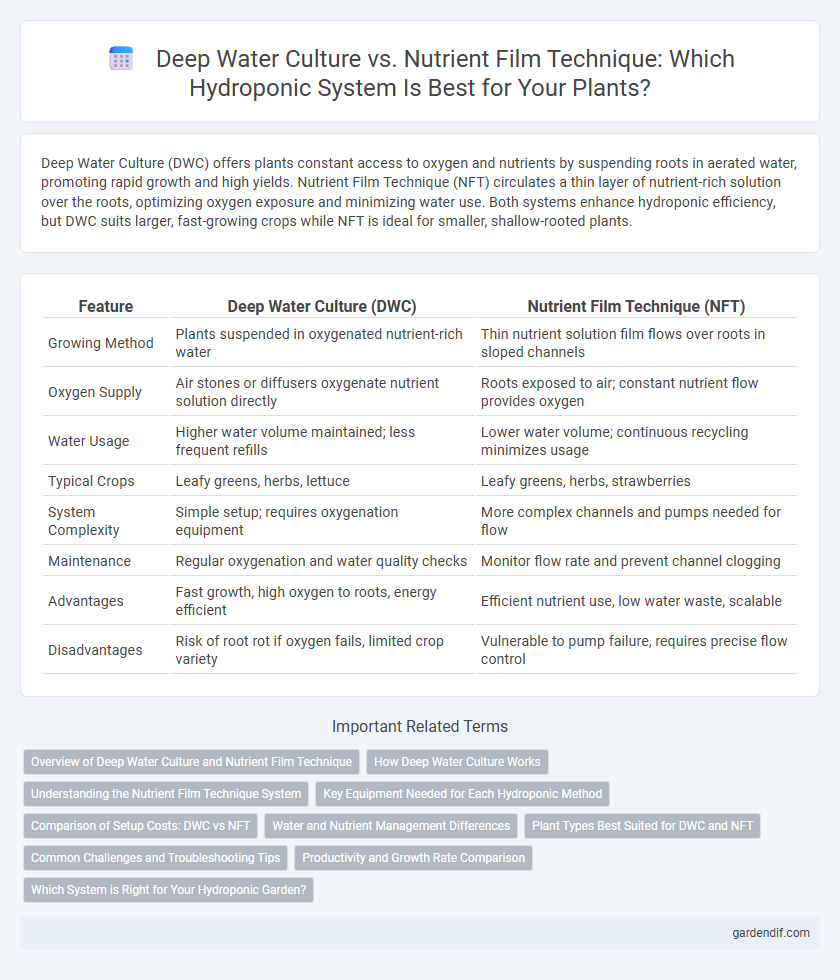 Deep Water Culture vs. Nutrient Film Technique: Which Hydroponic System Is Best for Your Plants?