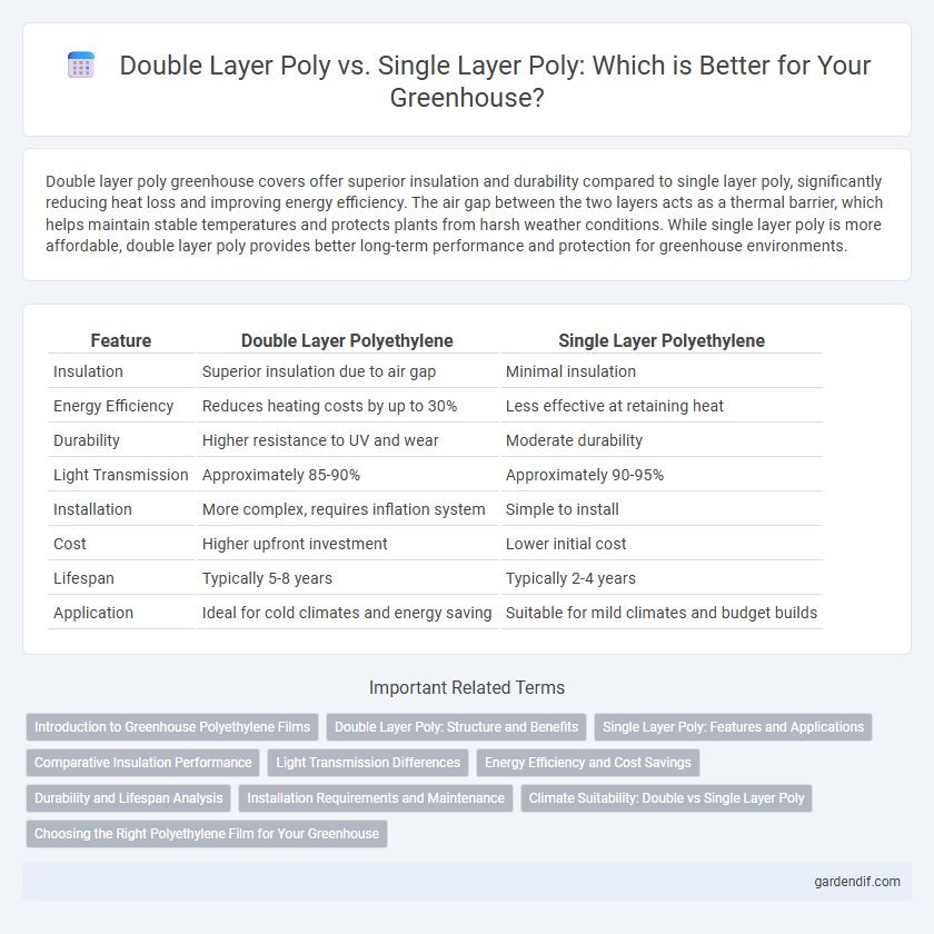 Double Layer Poly vs. Single Layer Poly: Which is Better for Your Greenhouse?
