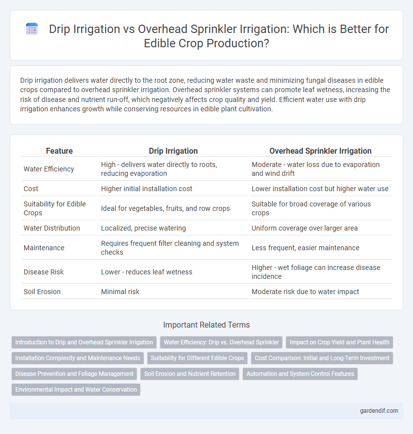 Drip Irrigation vs Overhead Sprinkler Irrigation: Which is Better for Edible Crop Production?