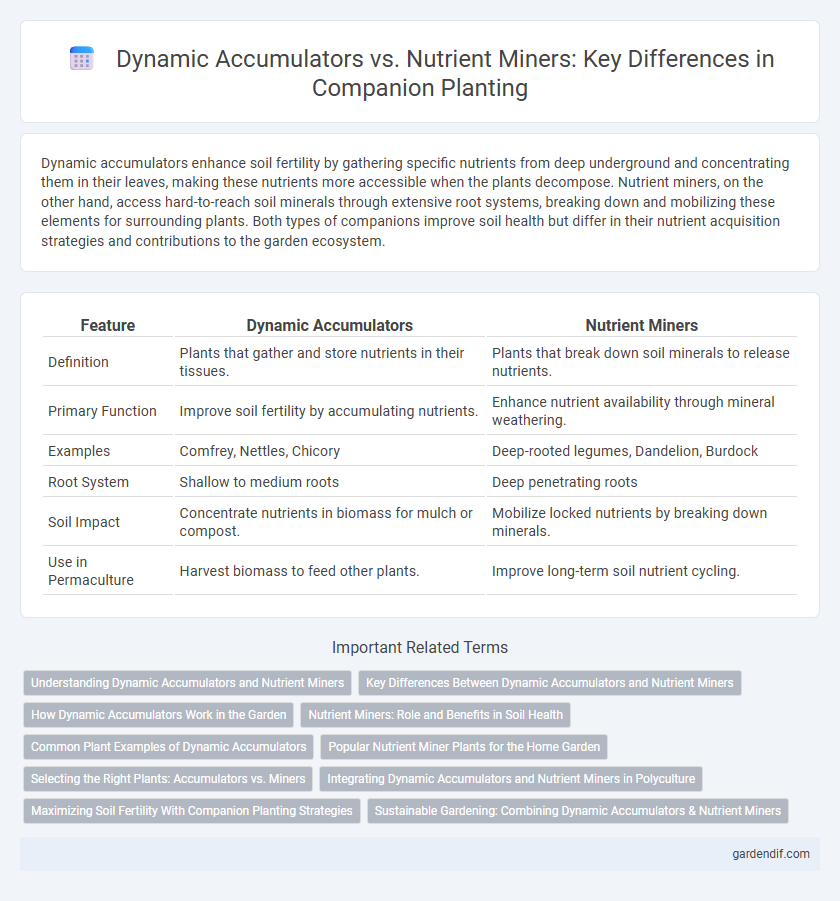 Dynamic Accumulators vs. Nutrient Miners: Key Differences in Companion Planting