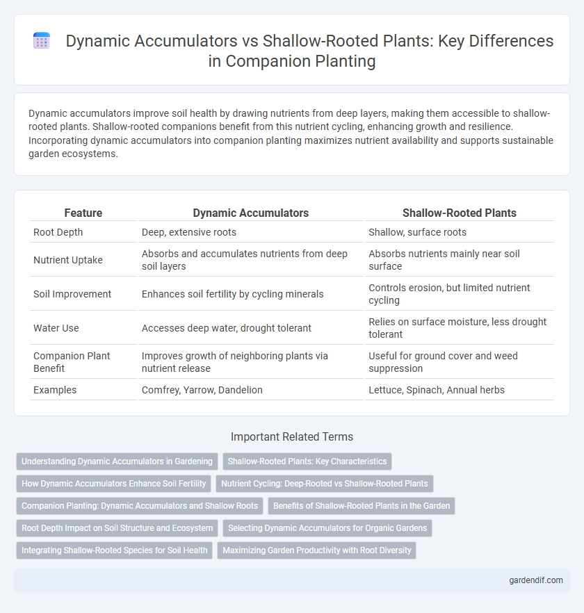 Dynamic Accumulators vs Shallow-Rooted Plants: Key Differences in Companion Planting