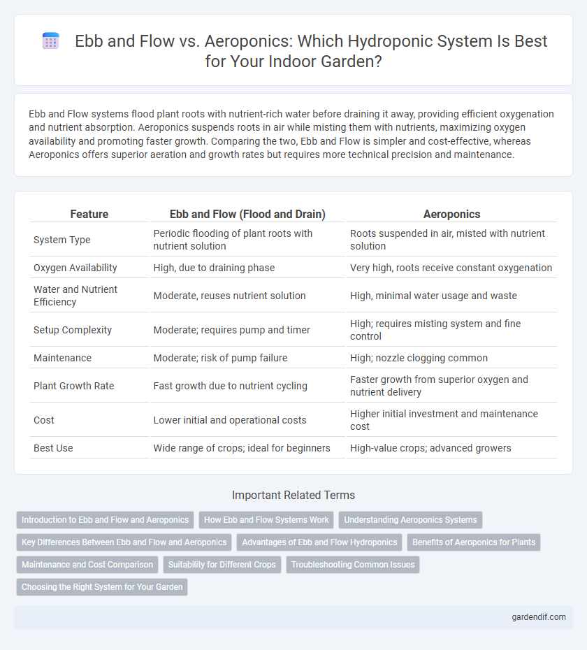 Ebb and Flow vs. Aeroponics: Which Hydroponic System Is Best for Your Indoor Garden?