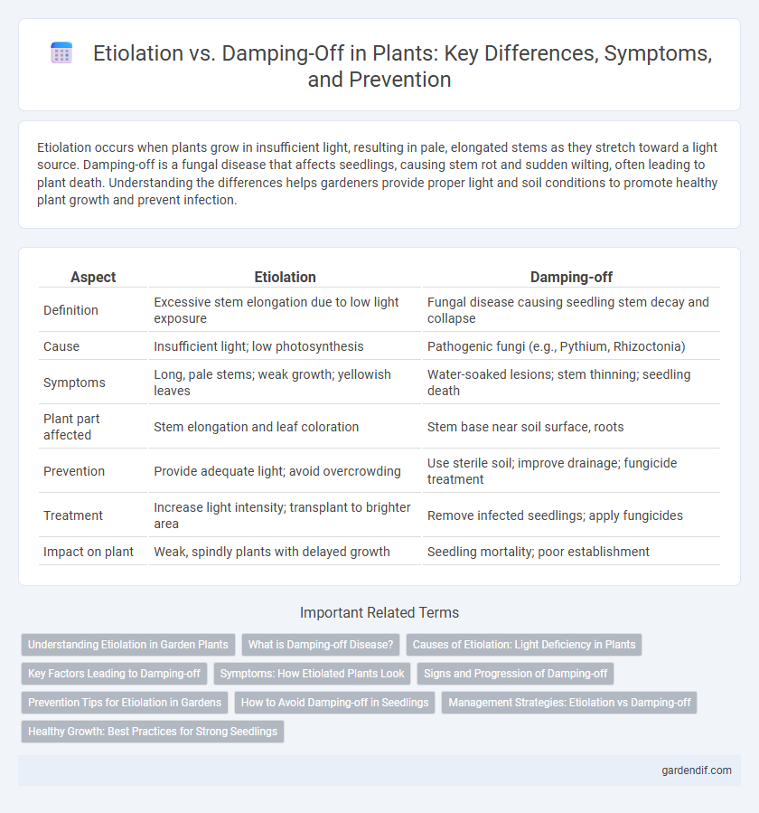 Etiolation vs. Damping-Off in Plants: Key Differences, Symptoms, and Prevention