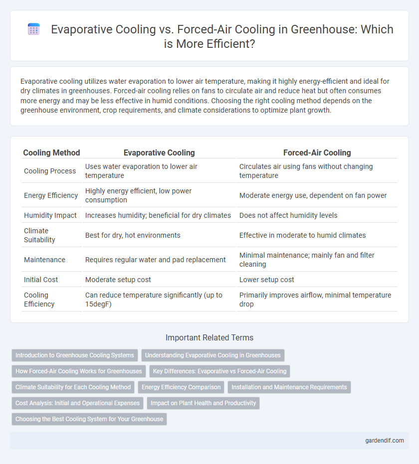 Evaporative Cooling vs. Forced-Air Cooling in Greenhouse: Which is More Efficient?
