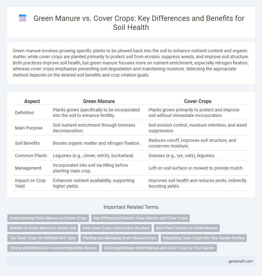 Green Manure vs. Cover Crops: Key Differences and Benefits for Soil Health