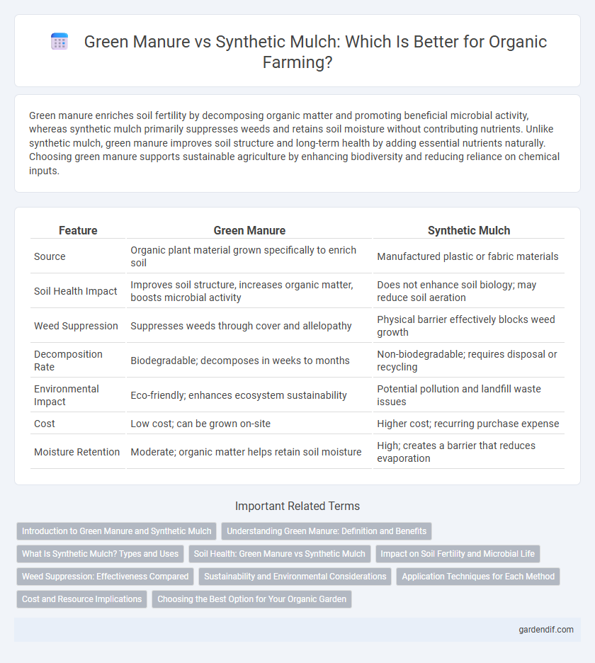 Green Manure vs Synthetic Mulch: Which Is Better for Organic Farming?