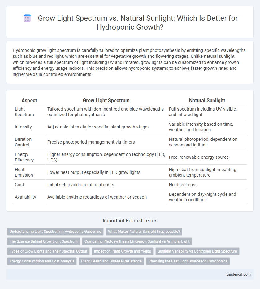 Grow Light Spectrum vs. Natural Sunlight: Which Is Better for Hydroponic Growth?