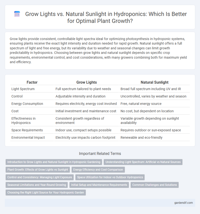 Grow Lights vs. Natural Sunlight in Hydroponics: Which Is Better for Optimal Plant Growth?