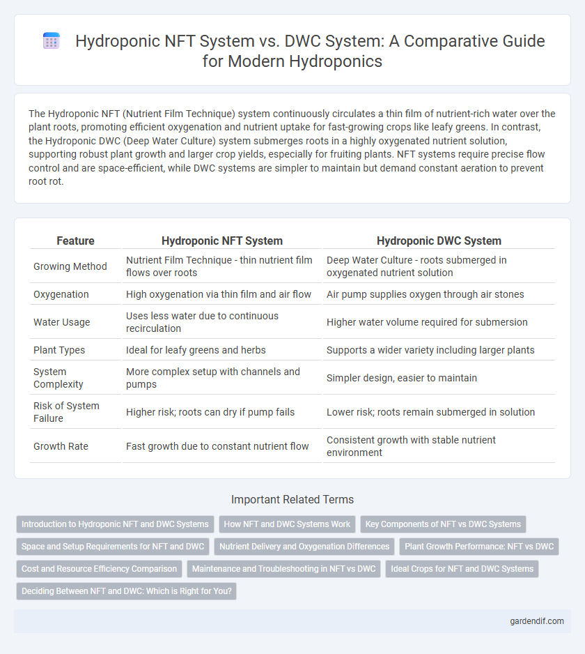 Hydroponic NFT System vs. DWC System: A Comparative Guide for Modern Hydroponics