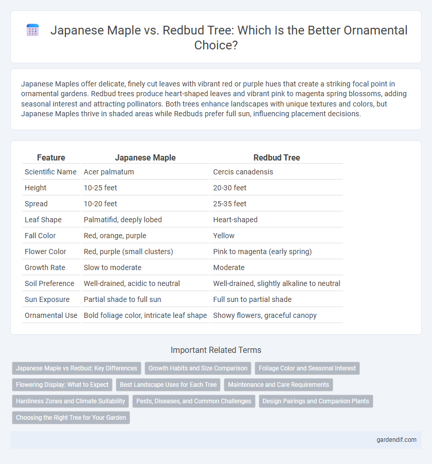 Japanese Maple vs. Redbud Tree: Which Is the Better Ornamental Choice?