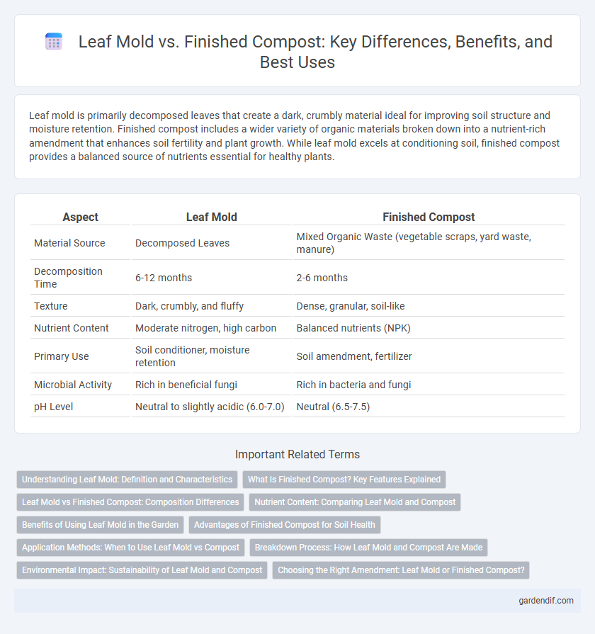 Leaf Mold vs. Finished Compost: Key Differences, Benefits, and Best Uses