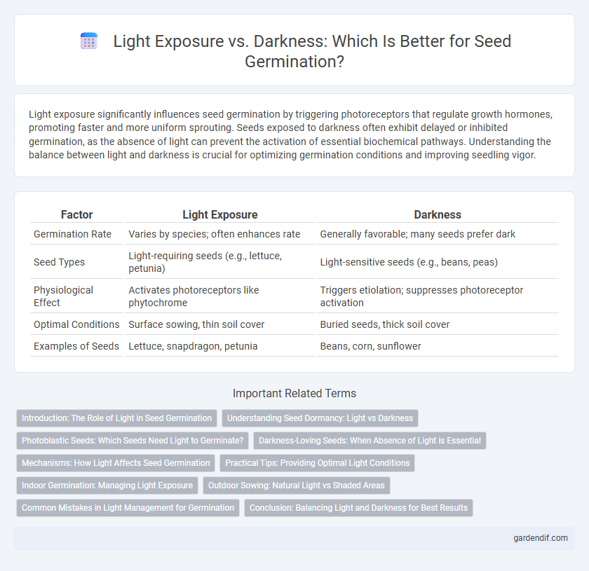 Light Exposure vs. Darkness: Which Is Better for Seed Germination?