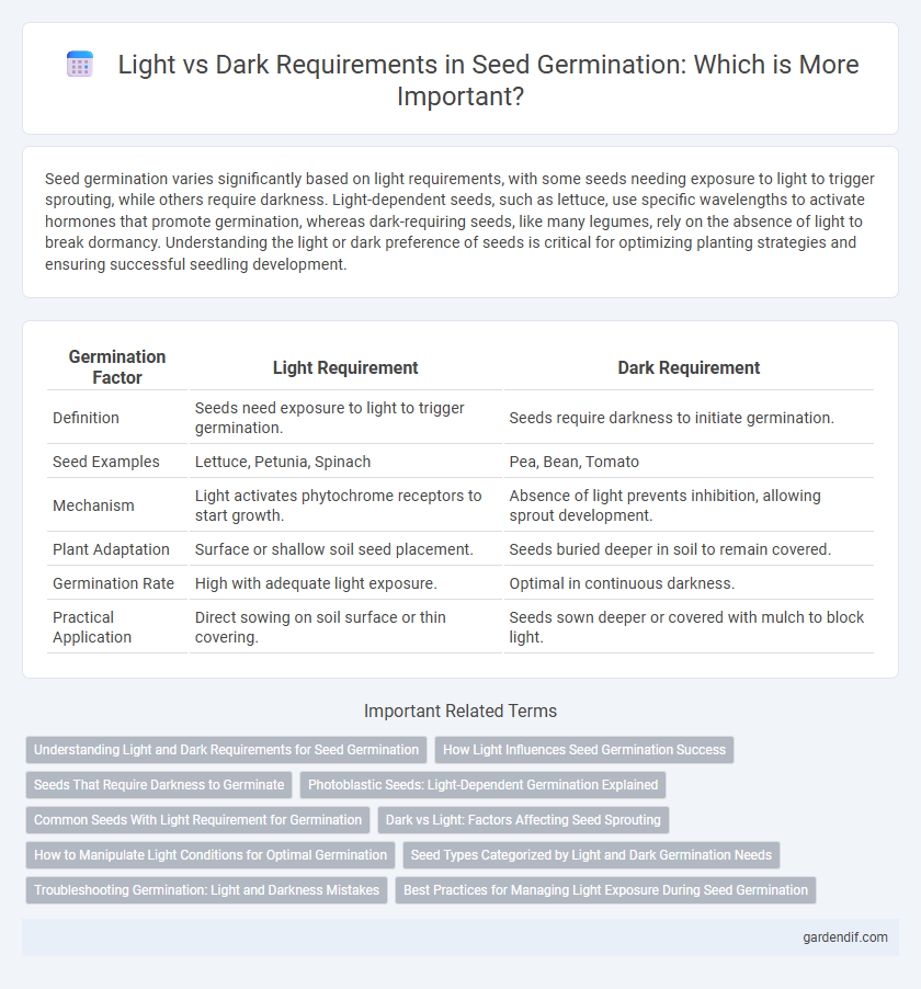 Light vs Dark Requirements in Seed Germination: Which is More Important?