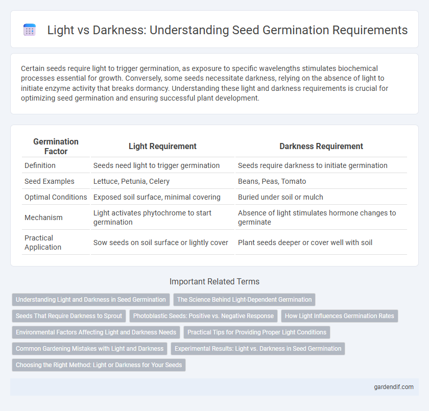 Light vs Darkness: Understanding Seed Germination Requirements
