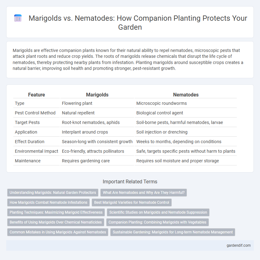 Marigolds vs. Nematodes: How Companion Planting Protects Your Garden