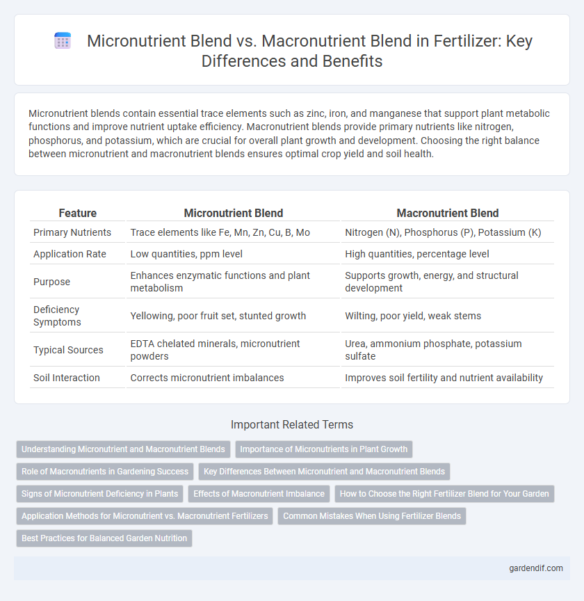 Micronutrient Blend vs. Macronutrient Blend in Fertilizer: Key Differences and Benefits