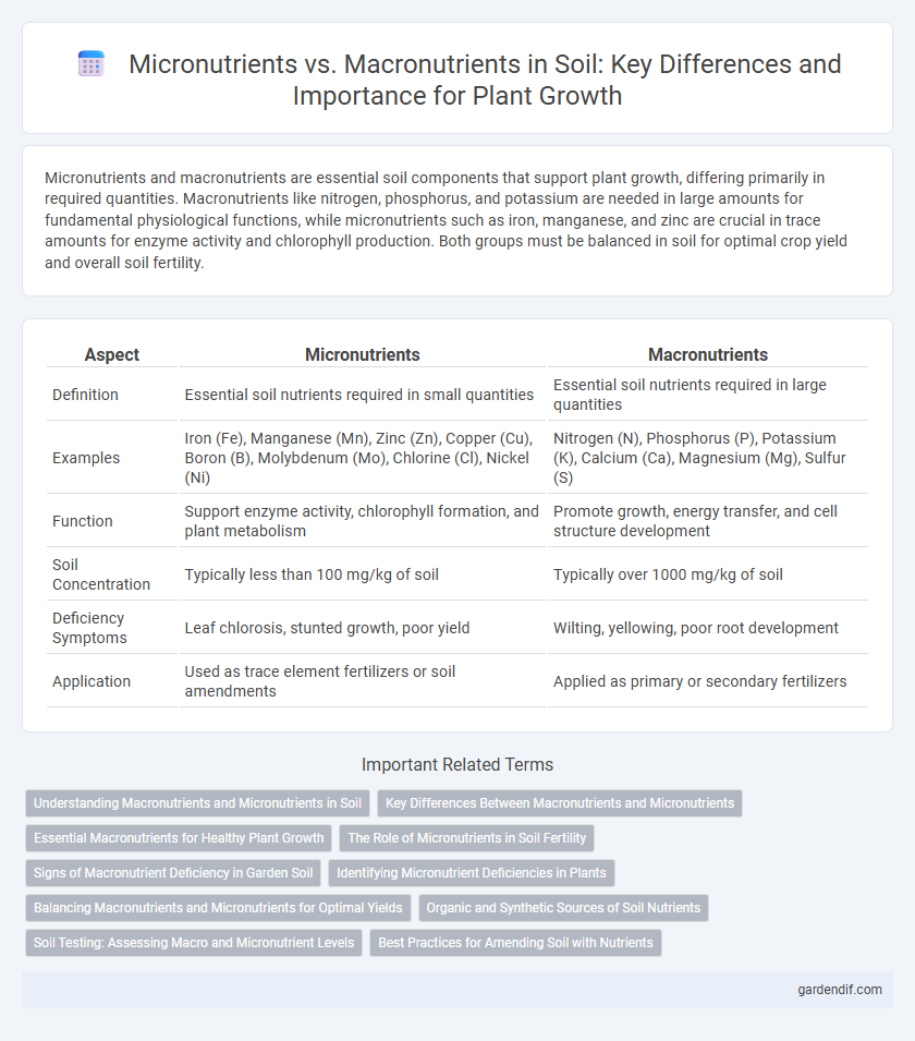 Micronutrients vs. Macronutrients in Soil: Key Differences and Importance for Plant Growth