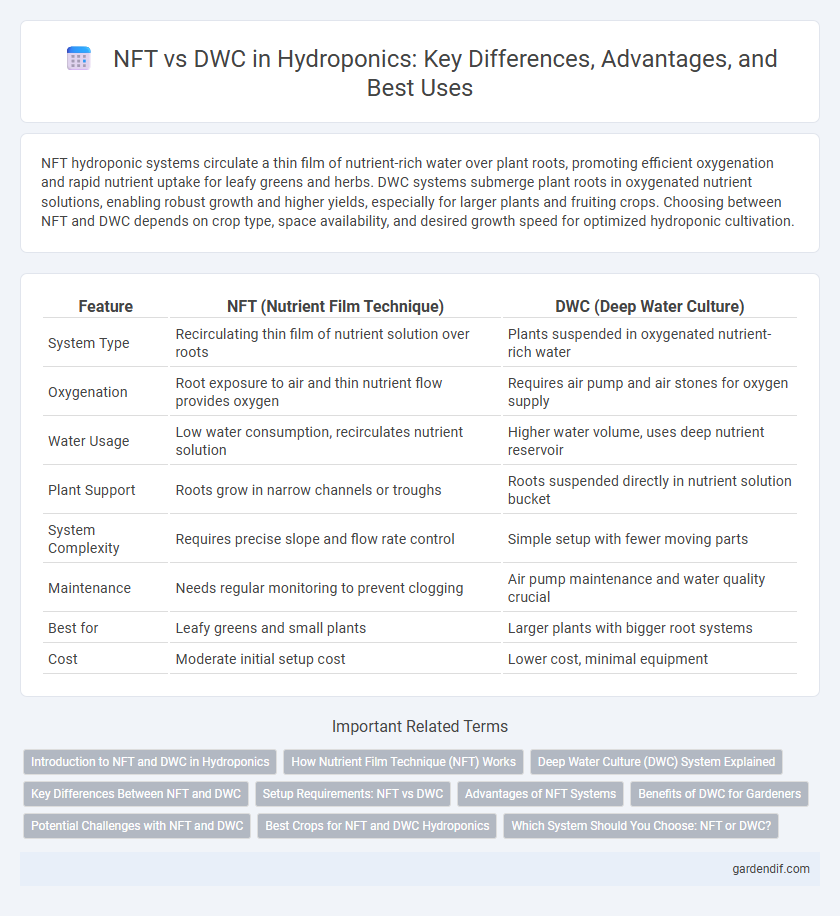 NFT vs DWC in Hydroponics: Key Differences, Advantages, and Best Uses