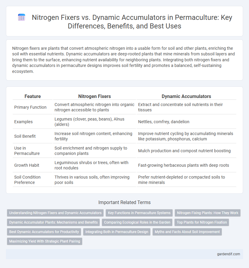 Nitrogen Fixers vs. Dynamic Accumulators in Permaculture: Key Differences, Benefits, and Best Uses