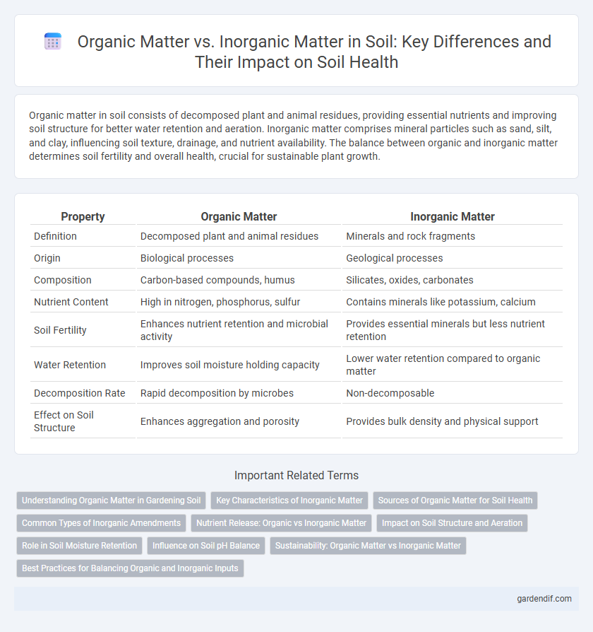 Organic Matter vs. Inorganic Matter in Soil: Key Differences and Their Impact on Soil Health
