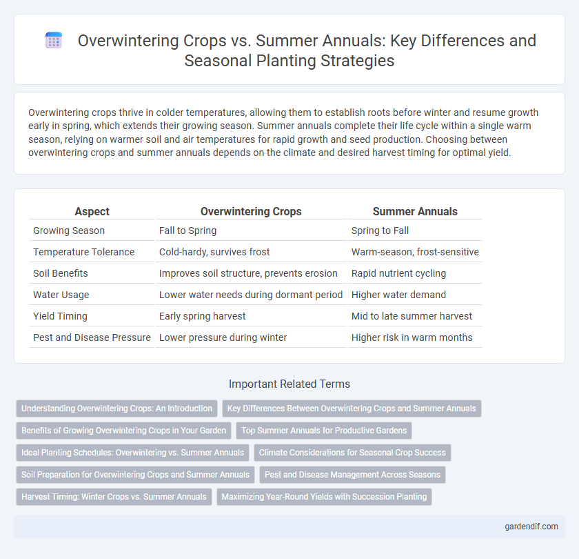 Overwintering Crops vs. Summer Annuals: Key Differences and Seasonal Planting Strategies