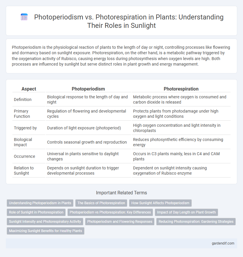 Photoperiodism vs. Photorespiration in Plants: Understanding Their Roles in Sunlight