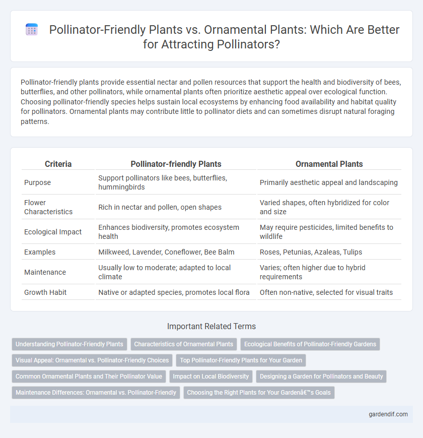 Pollinator-Friendly Plants vs. Ornamental Plants: Which Are Better for Attracting Pollinators?
