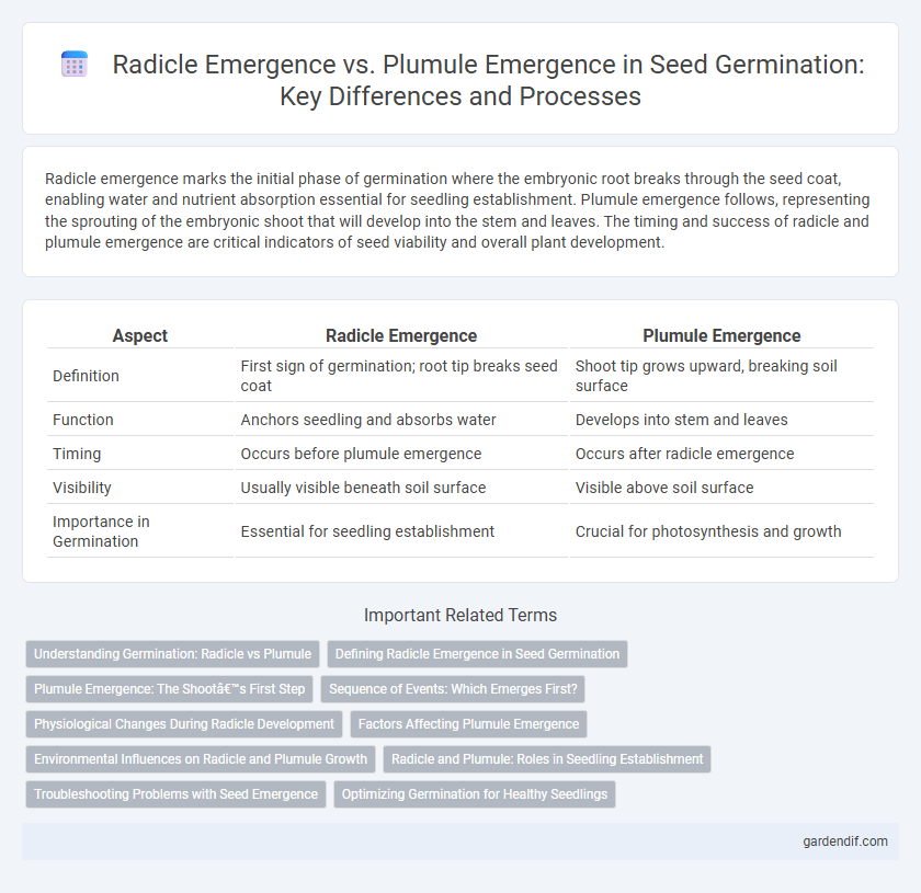 Radicle Emergence vs. Plumule Emergence in Seed Germination: Key Differences and Processes