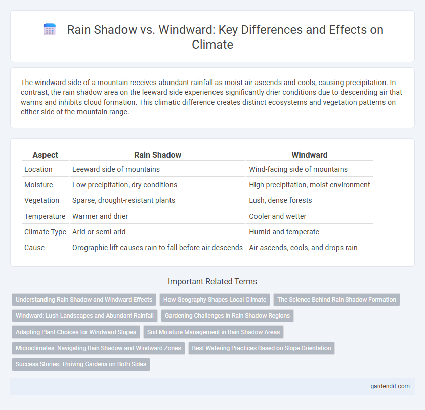 Rain Shadow vs. Windward: Key Differences and Effects on Climate