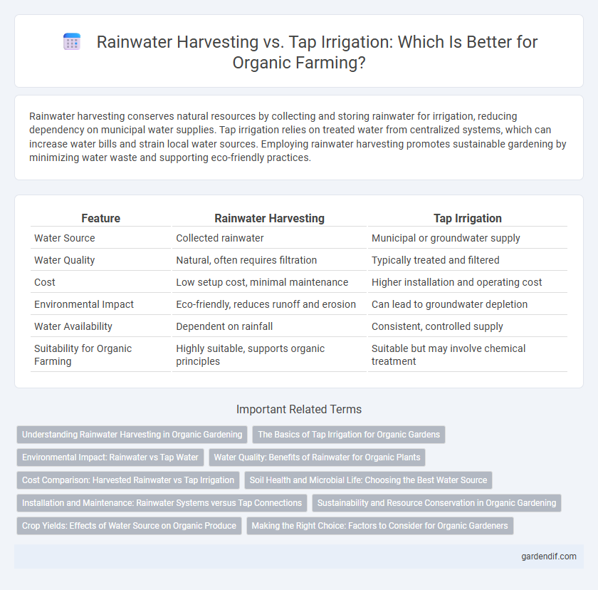 Rainwater Harvesting vs. Tap Irrigation: Which Is Better for Organic Farming?