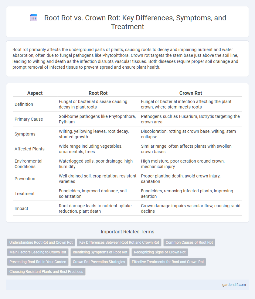 Root Rot vs. Crown Rot: Key Differences, Symptoms, and Treatment