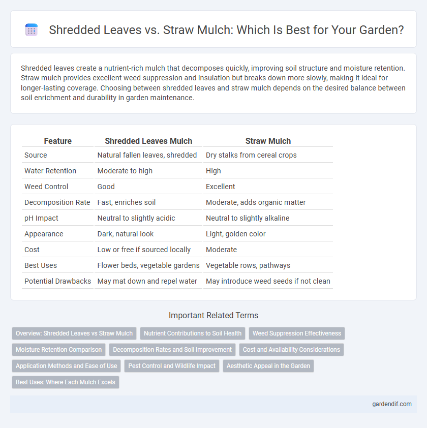 Shredded Leaves vs. Straw Mulch: Which Is Best for Your Garden?