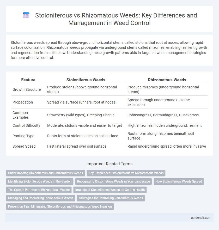 Stoloniferous vs Rhizomatous Weeds: Key Differences and Management in Weed Control