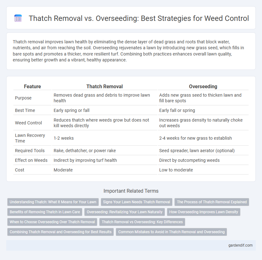 Thatch Removal vs. Overseeding: Best Strategies for Weed Control